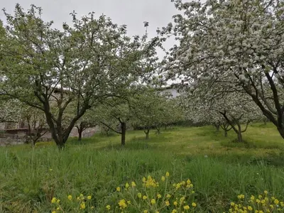 Paisaje cerca de este apartamento