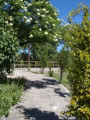 Jardín al aire libre en Casa Bestregui