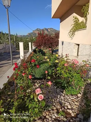 Jardín al aire libre en Casa Patrick
