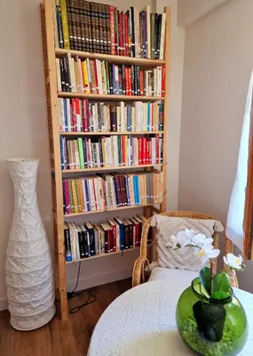 Biblioteca en el apartamento