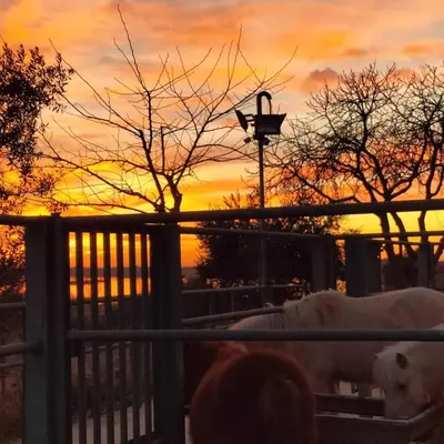 Amanecer o atardecer desde la casa o chalet o alrededores