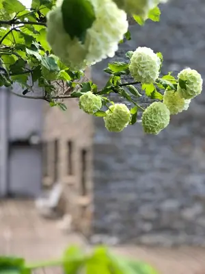 Jardín al aire libre en Acogedora casa en la montaña
