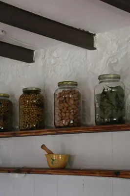 Plano de Casa ecológica en plena naturaleza