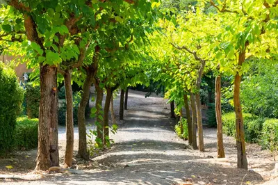 Jardín al aire libre en Hotel Rural y Apartamentos Villa Engracia
