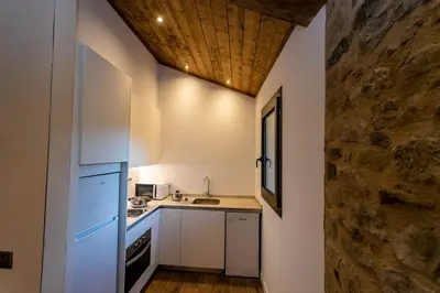 Una cocina o zona de cocina en Casa Sanui. Apartaments turístics rurals