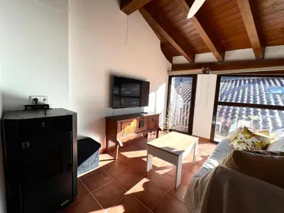Una televisión o centro de entretenimiento en Apartamento Gerri - L'Amfitriona