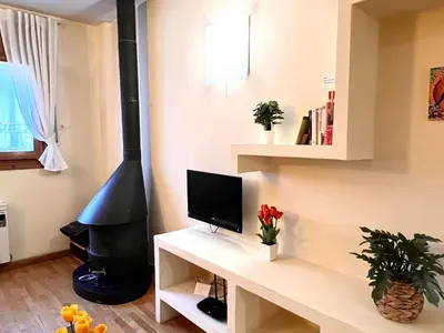 Una televisión o centro de entretenimiento en Apartament Boet - Ainet de Cardós - L'Amfitriona