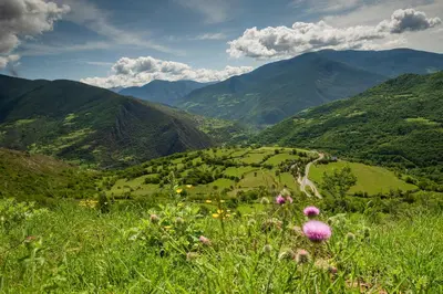 Paisaje cerca de este apartamento