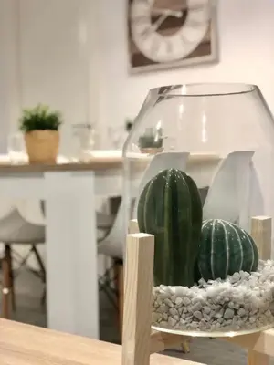 Plano de Apartamento Ramon Pignatelli