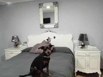Cama o camas de una habitación en Casa Mónica