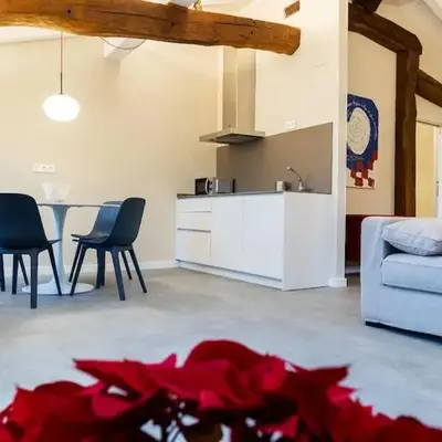 Apartamentos en Baztan HIRU KABI