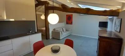 Una televisión o centro de entretenimiento en Apartamentos en Baztan HIRU KABI, BIGA