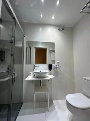 Un baño de Hotel Pilar Plaza