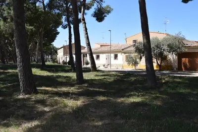 Edificio en el que se encuentra la casa o chalet
